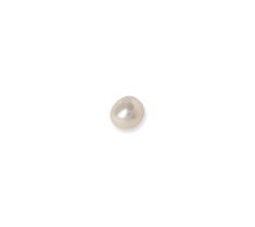 ZOETWATERPAREL 3-3.5 MM BOUTON WIT