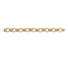 Jasseron collier 3.0 mm 14 karaat geelgoud
