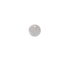 ZILV STEMPELPL. ROND 10.0 MM 1 GATS