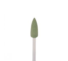 Hangmotorschijf 5.5 x 15.5 mm groen punt met stift Ceragloss HP Edenta
