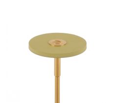 EVE DIABLADE 25 X 2 MM GROEN-GEEL.