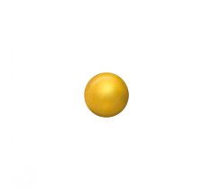 12 paar Easy Piercy 0550200 schietoorstekers 4.0 mm knop verguld