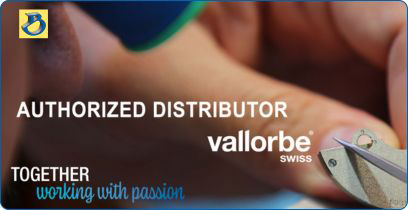 Bijou moderne vallorbe