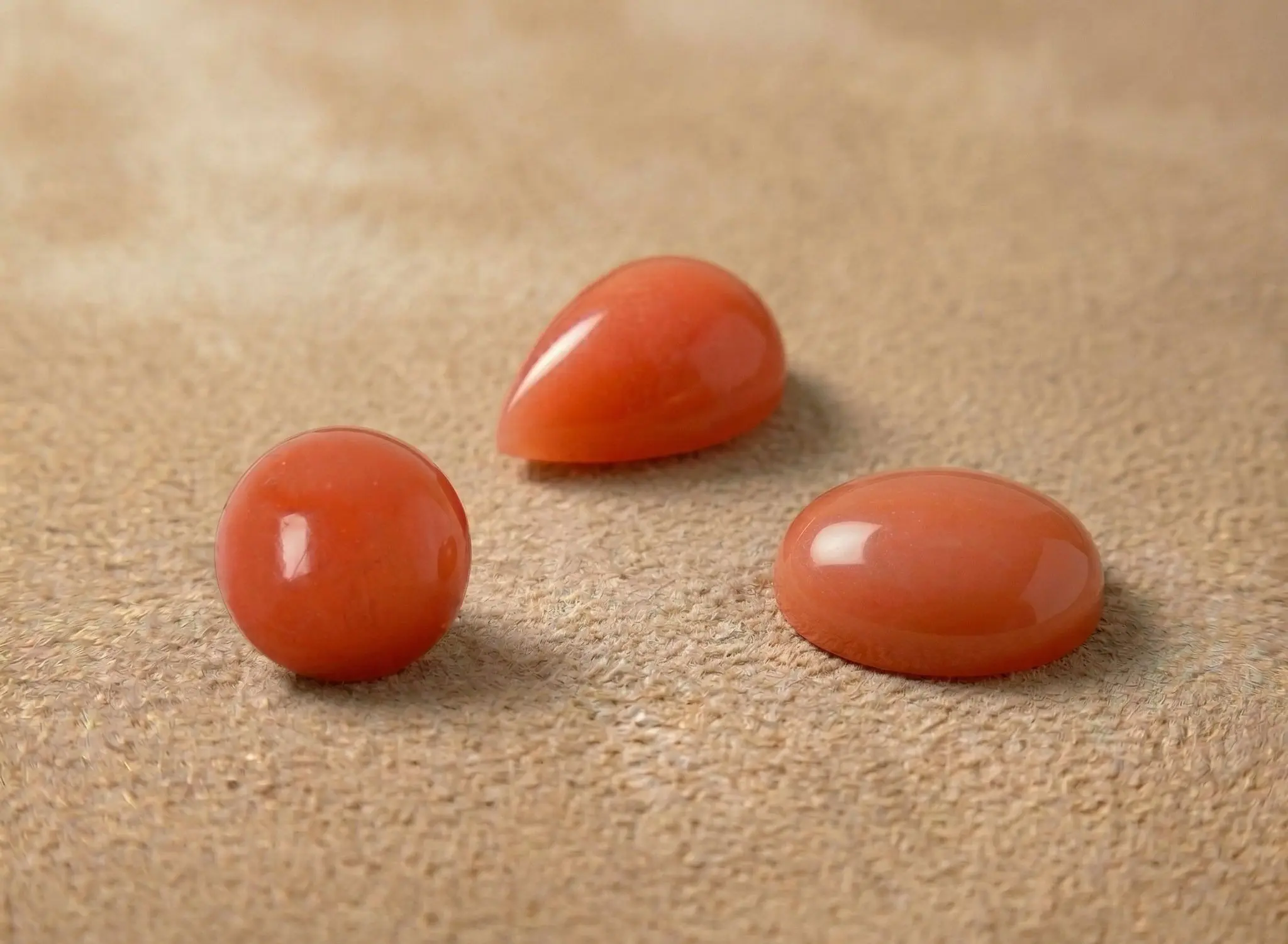 Corail sanguin