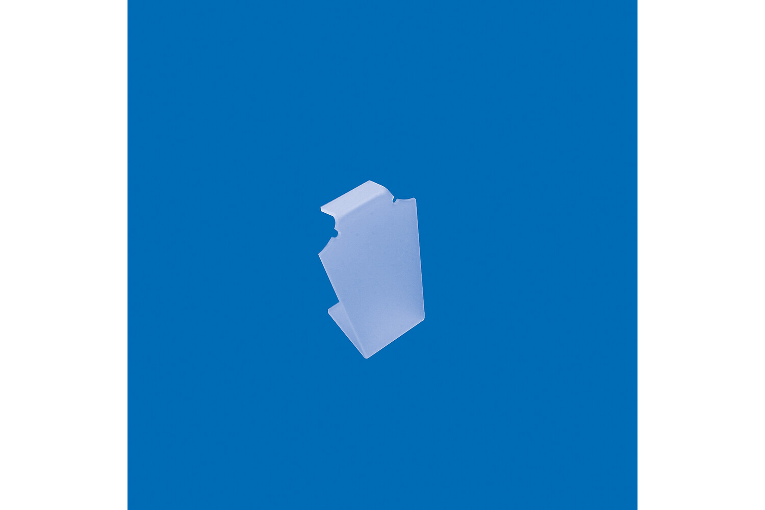 BUSTE ACRYLIQUE PLEXIGLAS PETIT-MAT