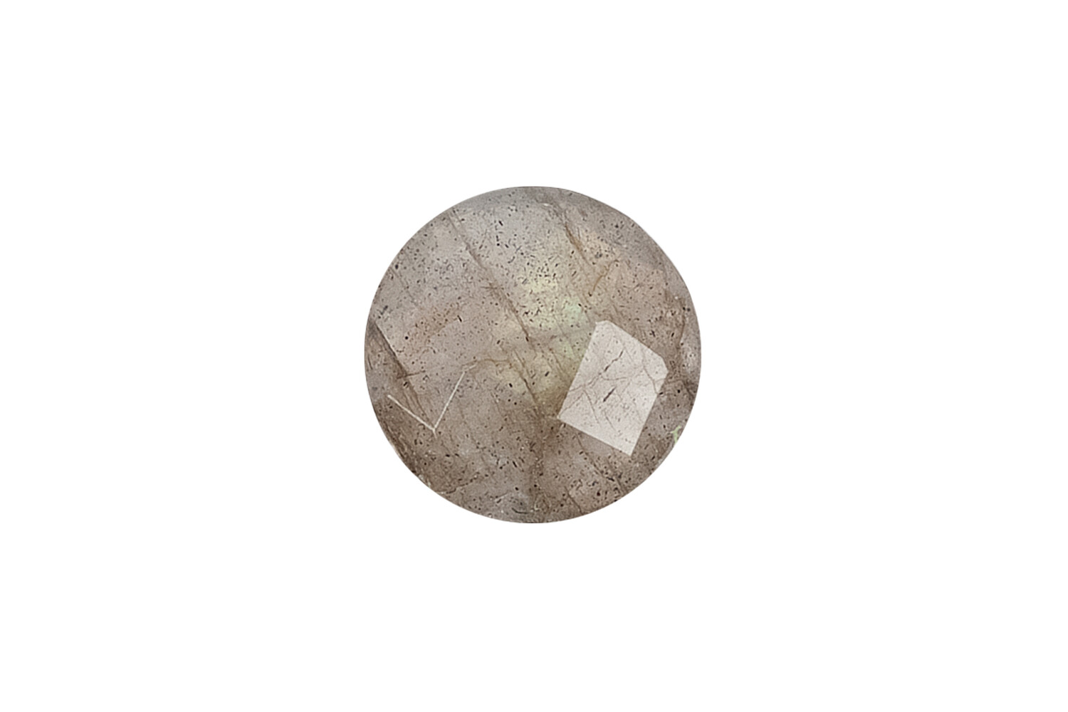 Labradorite taille facette double face 6.0 mm