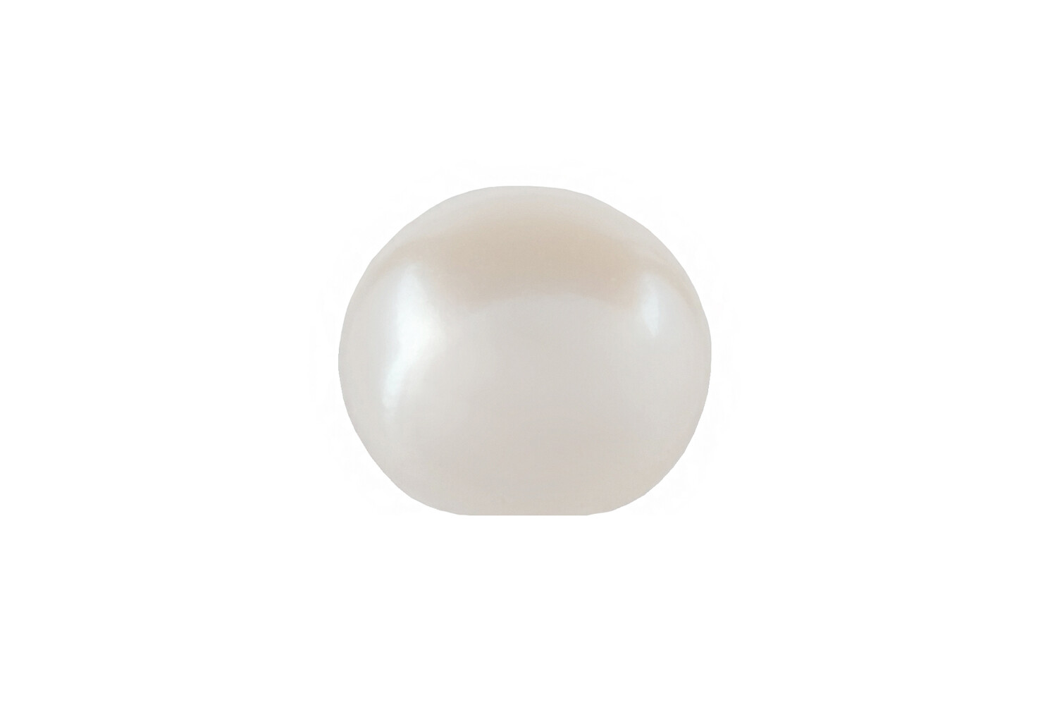 Cultive parel 1.7 mm wit halfrond