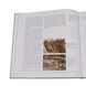 Boek 'Zilverkunst'