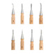 Set wasmodelleer stalen E.P.