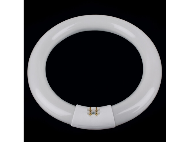 AMPOULE RONDE  -22 W