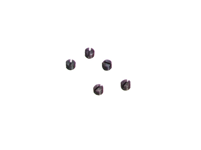 SACHET DE 5 VIS BERGEON