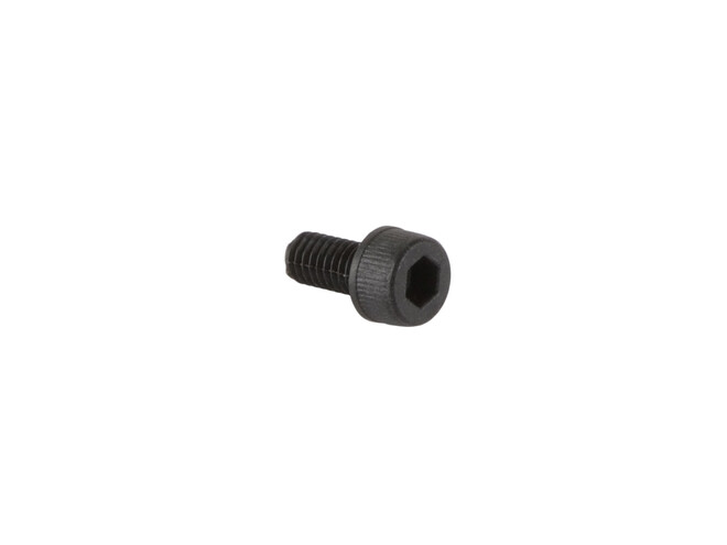 PLASTIC SCHROEF VOOR 08155369