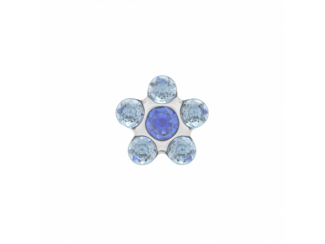 6PAIRE DE B.O. ACIER FLEURS BLEUES