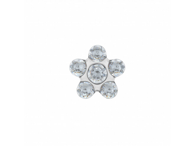 6PAIRE DE B.O. ACIER FLEURS BLANCHES