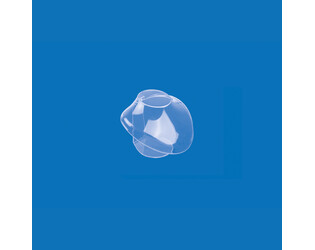 BUSTE ACRYLIQUE PETIT-TRANSPARENT