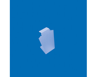 BUSTE ACRYLIQUE PLEXIGLAS PETIT-MAT