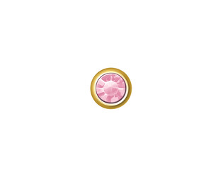 6 PAIRES DE MINI ROSES  ESTELLE 2