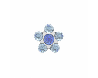 6PAIRE DE B.O. ACIER FLEURS BLEUES