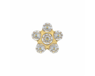 6PAIRE DE B.O. DOREES FLEURS BLANCHES